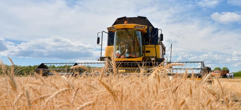 Татарстан планирует увеличить урожай зерна до 5 млн тонн