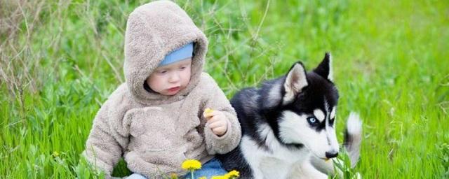 Жительницу Хабаровска осудили из-за покусанного собакой ребенка