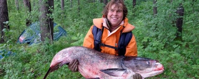 В Свердловской области поймали гигантского толстолобика