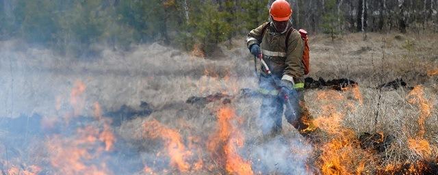 На Дальнем Востоке за сутки зарегистрировано 59 лесных пожаров