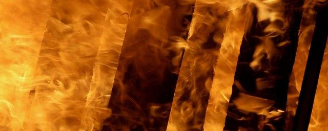 В Ульяновской области при пожаре погиб 4-летний ребенок