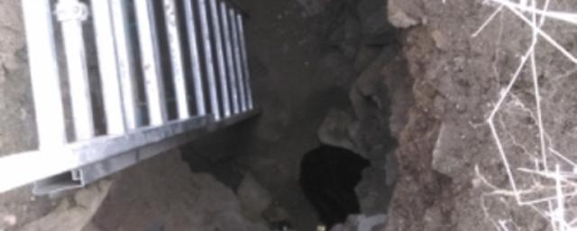 В Крыму сотрудники МЧС спасли собаку из глубокой ямы