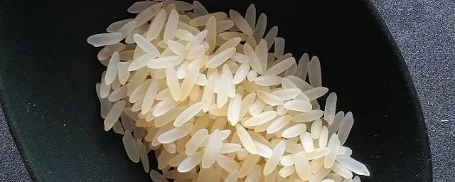 Ученые: Рост загрязнения приведет к падению выращивания риса