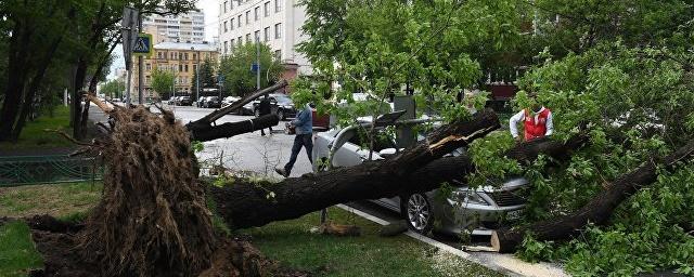 В Москве начали выплачивать компенсации за последствия урагана