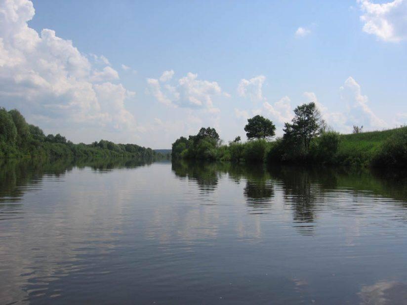 В Калужской области на расчистку реки Жиздра выделят 7 млн рублей