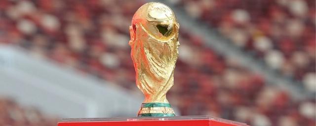 Ярославцам покажут Кубок мира FIFA