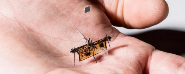 Робота размером с муху научили получать энергию из лазерного луча