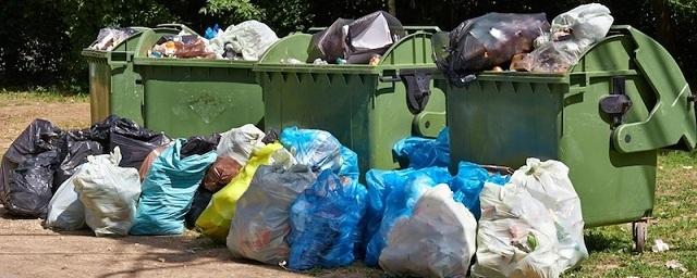 Челябинцев призывают жаловаться на плохую уборку мусора во дворах