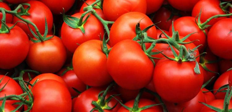 В Карелии потребителей предупредили об опасных помидорах