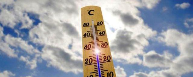 В Курской области «бабье лето» установило погодный рекорд