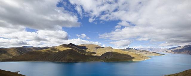 Ученые из РФ нашли следы глобального потепления в кедрах с Тибета