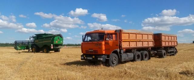 Самарские аграрии планируют собрать рекордный урожай зерновых