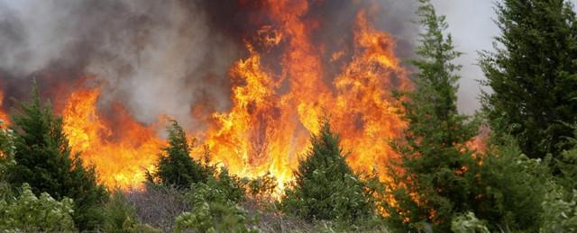 В Сибири горит 1500 гектаров леса