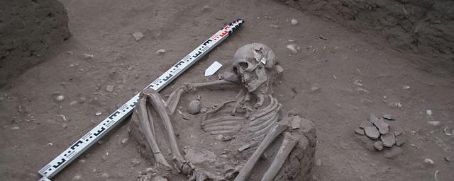 Ученые ДВФУ изучат найденные в Эквадоре останки древних людей