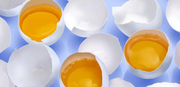 Ученые: Употребление куриных яиц снизит риск инсульта на 12%