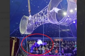 Артист цирка сорвался с высоты во время выступления в Приморском крае, в произошедшем разбирается полиция