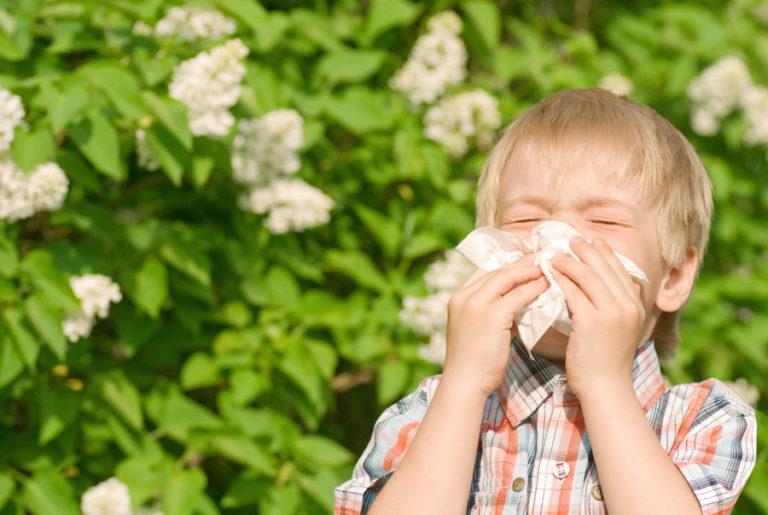 Ученые успешно протестировали вакцину от аллергии на пыльцу