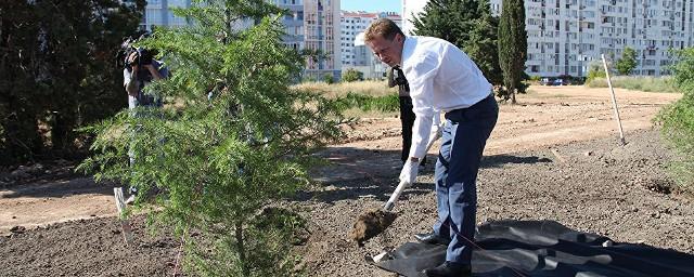 В Севастополе заложили аллею героев спорта «Динамовский лес»