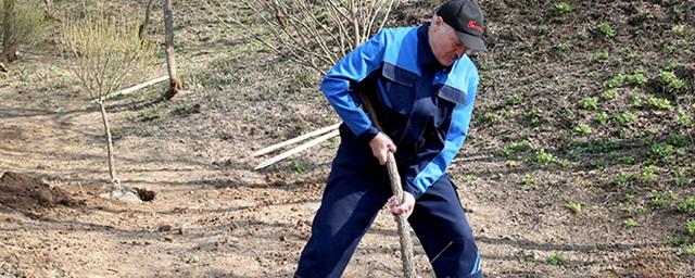 Лукашенко: Мы обеспечим оппозицию метлами и лопатами