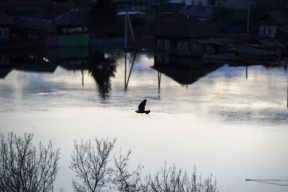 В Томской области почти 140 домов остаются затопленными