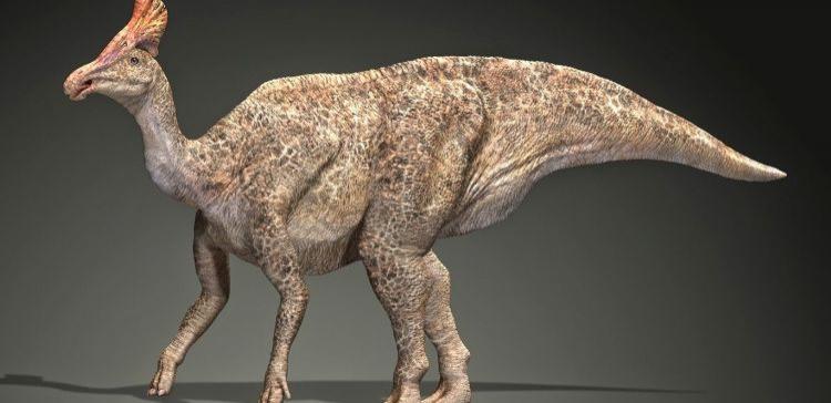 На Аляске нашли останки нового подвида арктического динозавра
