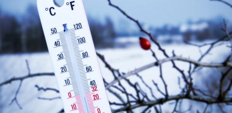 На Алтае ожидается 36-градусный мороз