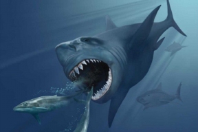 Палеонтологи обнаружили в Мамонтовой пещере окаменелости двух видов акул возрастом 325 млн лет
