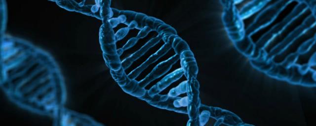 Судебно-медицинская база ДНК поможет в поиске родственников