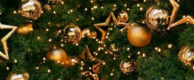 В Симферополе монтируют новогоднюю елку