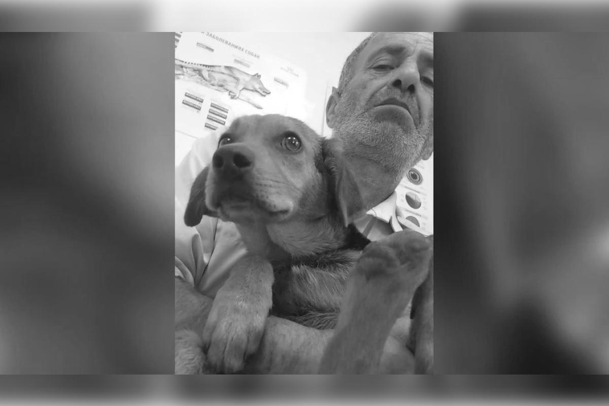 Получившего смертельное ранение во время атаки ВСУ на Воронеж зоозащитника похоронили на родине