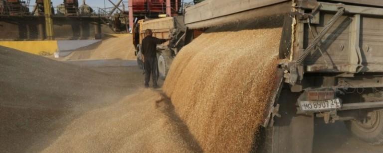 Иран может возобновить импорт российской пшеницы