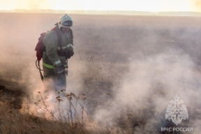 Спасатели за двое суток потушили 38 пожаров в Алтайском крае