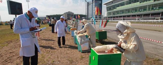 В Уфе выбрали лучшего пчеловода России