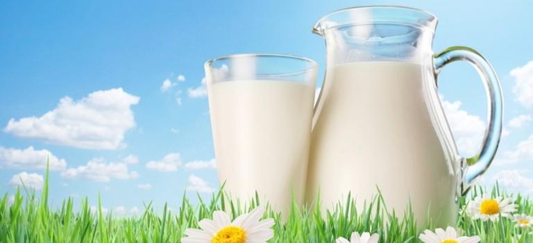 Ученые: Молоко замедляет возрастные изменения мозга