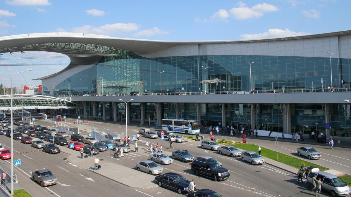В аэропорту Шереметьево задержали партию спермы КРС