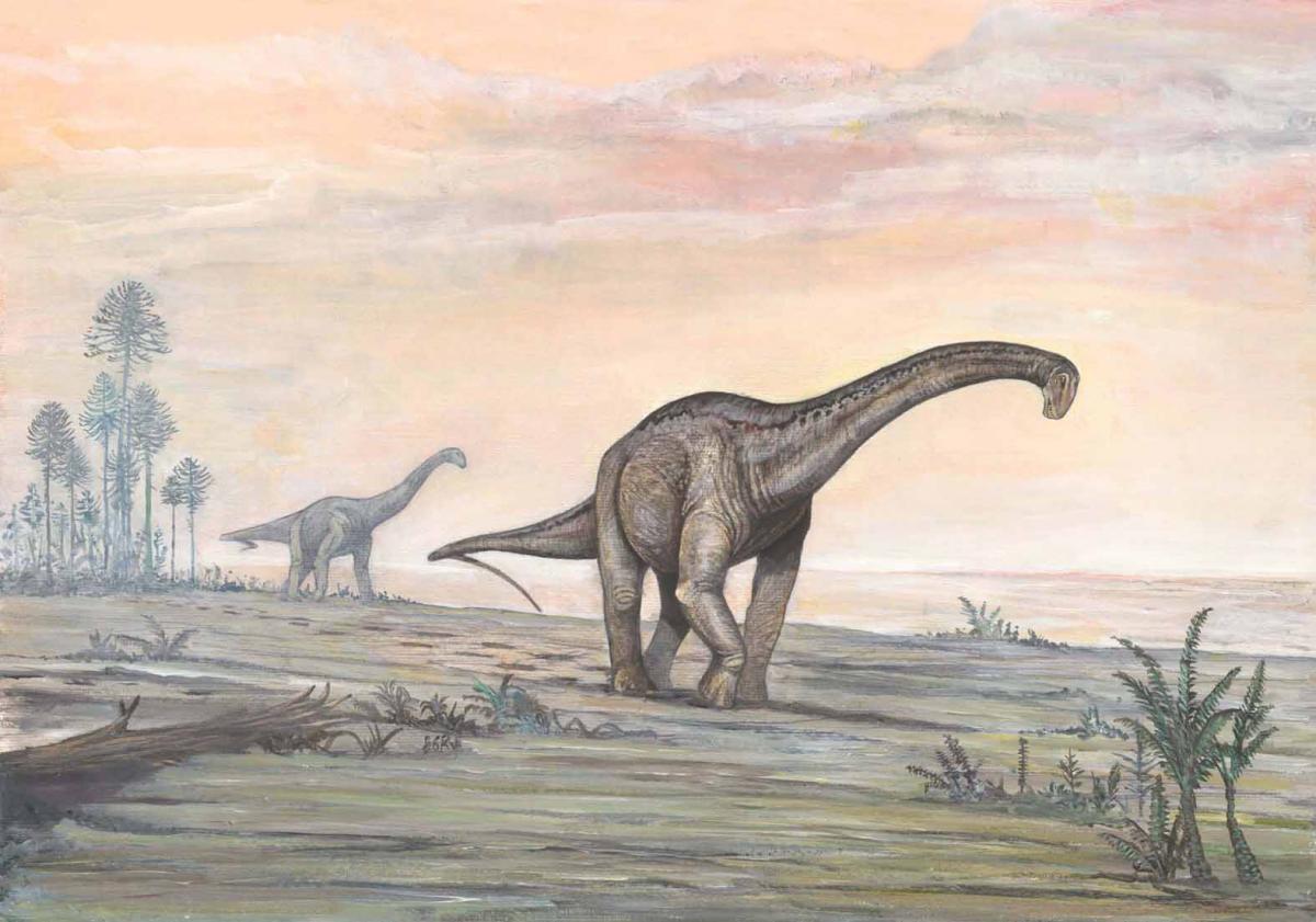 В России нашли останки гигантского динозавра