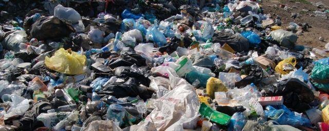 Во Владимирской области опасаются мусорного коллапса