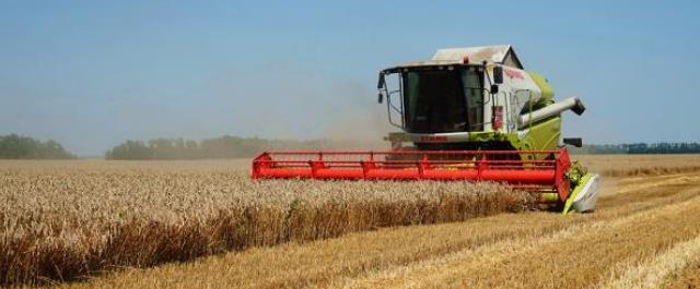 Томские аграрии намолотили более 400 тысяч тонн зерна
