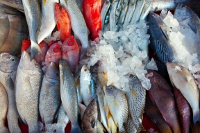 В марте в России вырастут экспортные пошлины на рыбу и рыбопродукцию