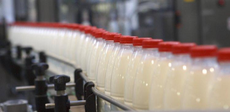 Сербским фермерам разрешили поставки молока в Россию