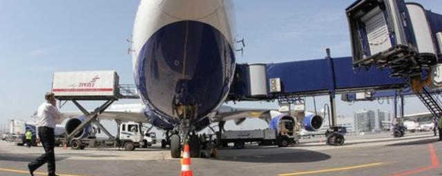 В аэропорту «Внуково» из-за шмелей эвакуировали пассажиров самолета