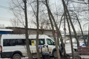 В Рязани маршрутка с пассажирами наехала на дерево