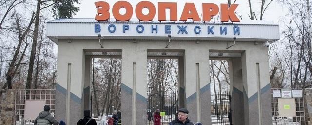 Воронежский зоопарк возобновил работу после карантина