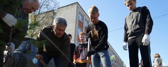 Глава Карелии посадил кедры у школы №1 в Беломорске