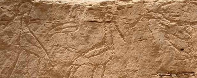 Ученые обнаружили самые древние египетские иероглифы