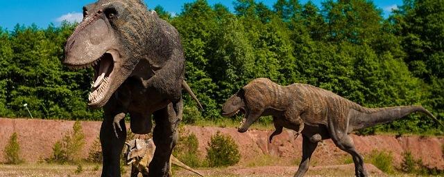 Ученые объяснили распространение динозавров по Земле