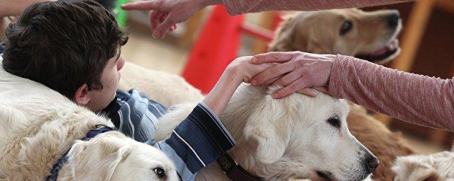 Ученые: Любители гладить щенков рискуют заразиться опасной инфекцией