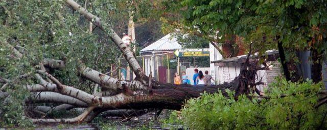 Пострадавшим от урагана в Зеленокумске выделены первые выплаты