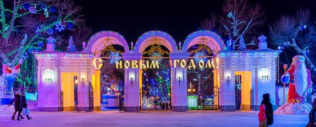 На площадях и в скверах Хабаровска появятся ледовые городки