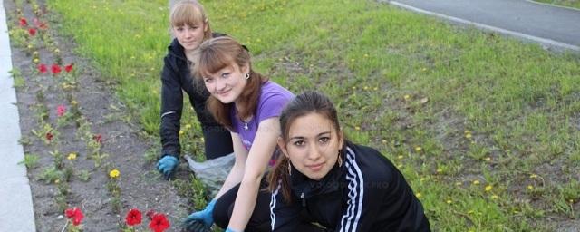 Власти Севастополя летом трудоустроят 1,1 тысячи школьников